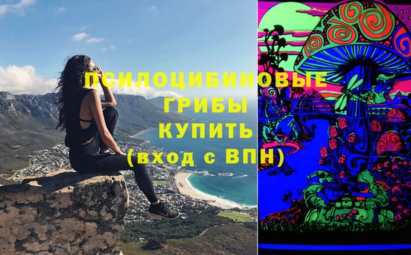 СК Алзамай