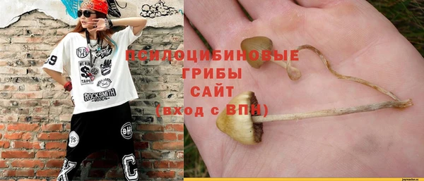 амфетамин Алексеевка