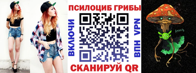 Галлюциногенные грибы Psilocybine cubensis Зерноград