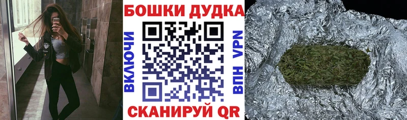 Конопля план  закладка  Зерноград 